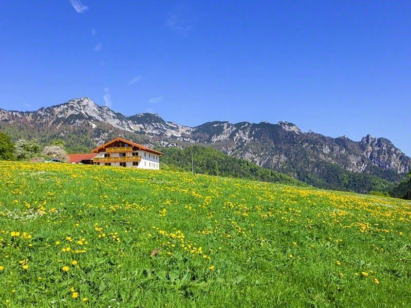 Ferienwohnung Roislerlehen Bischofswiesen Bagian luar foto